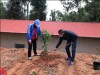 Tết trồng cây năm 2021