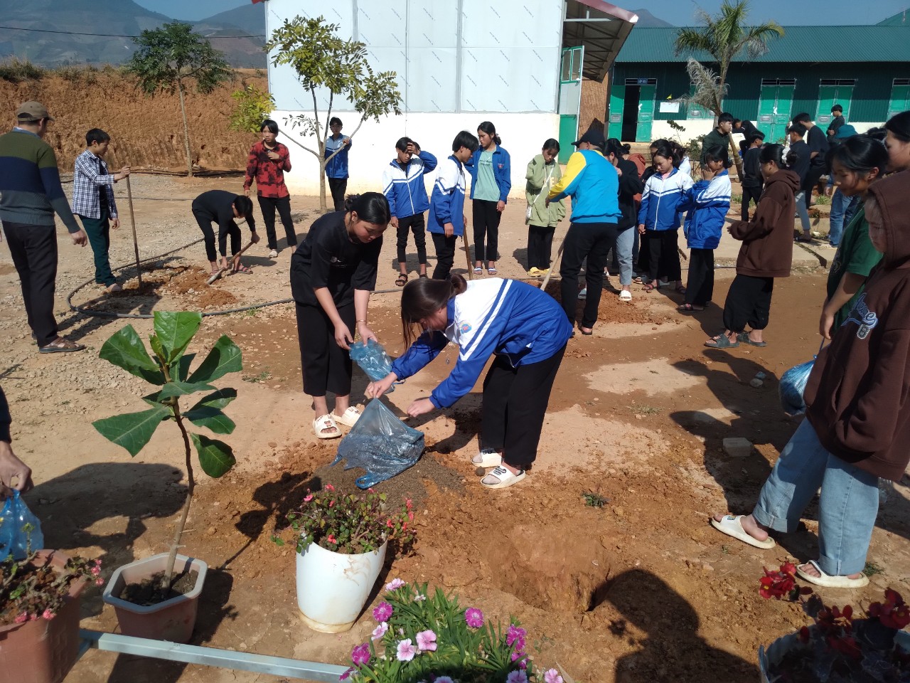 Cán bộ giáo viên, học sinh nhà trường hưởng ứng tết trồng cây