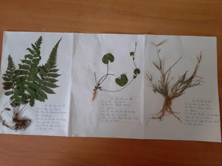 Thiết bị dạy học tự làm